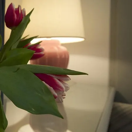 Club 3* Μέστρε