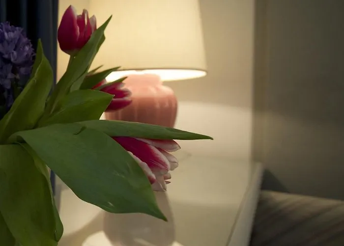 클럽 3* 메스트레